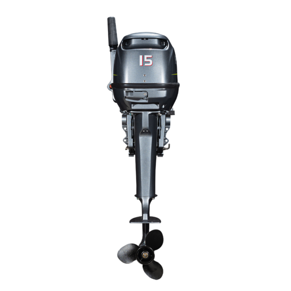 HD15F - Image 2