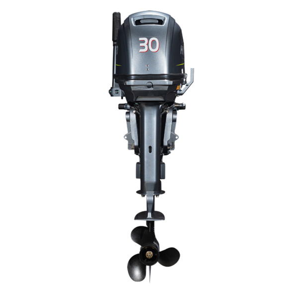 HD30F - Image 2