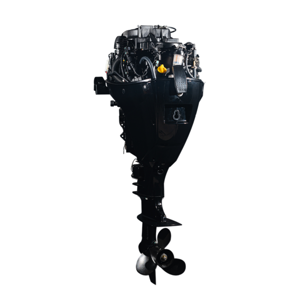 HDEF20 EFI - Image 3