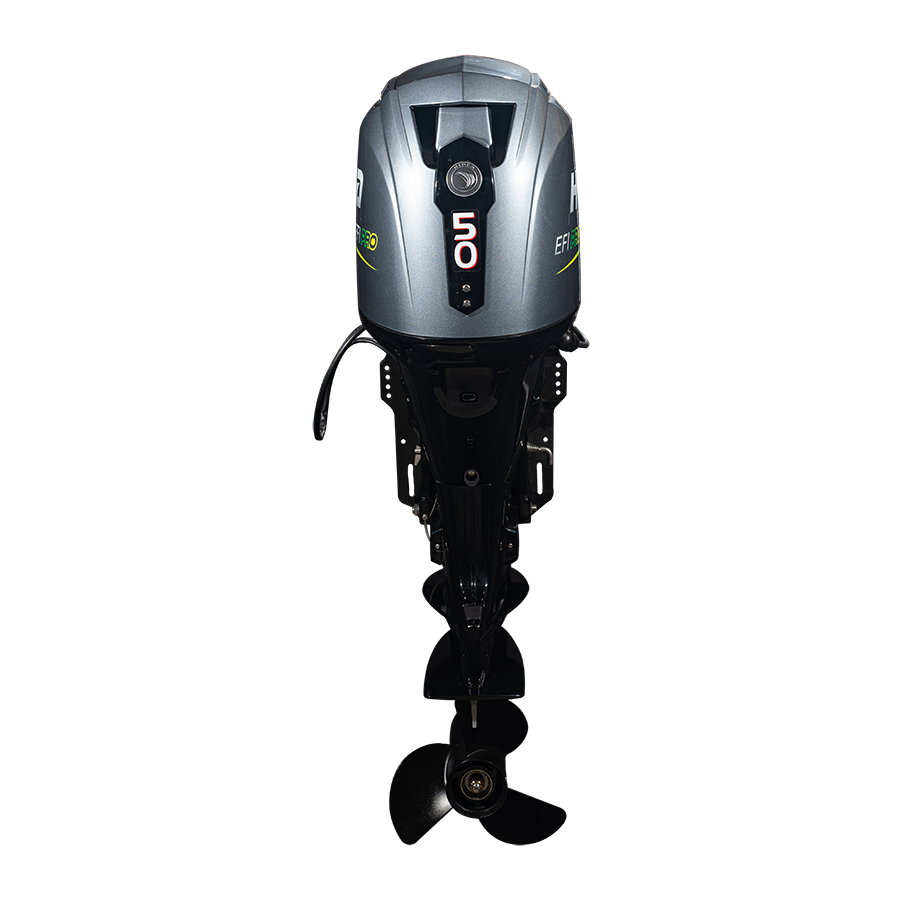 HDEF50 EFI PRO - Image 2