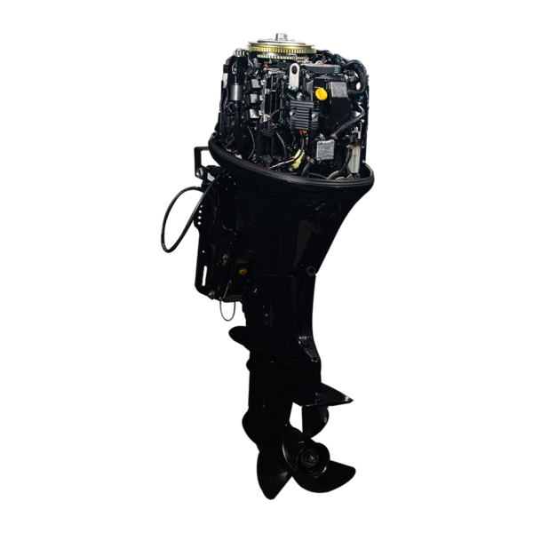 HDEF50 EFI PRO - Image 3